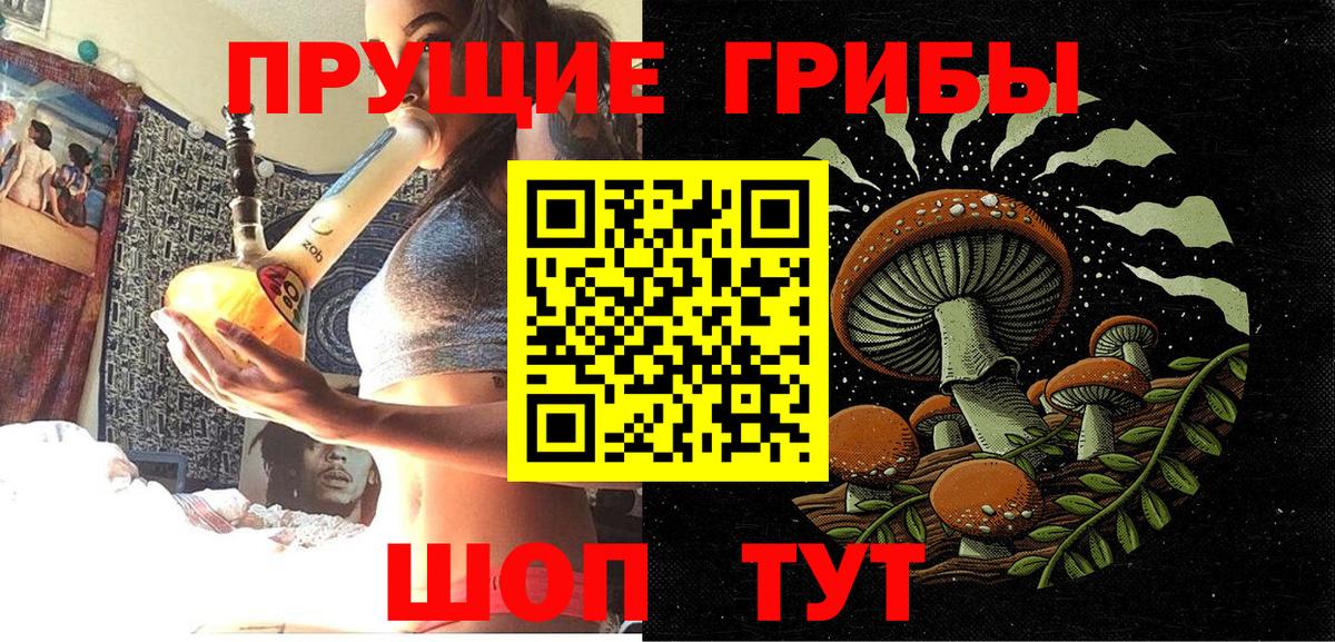 Галлюциногенные грибы GOLDEN TEACHER Волгодонск